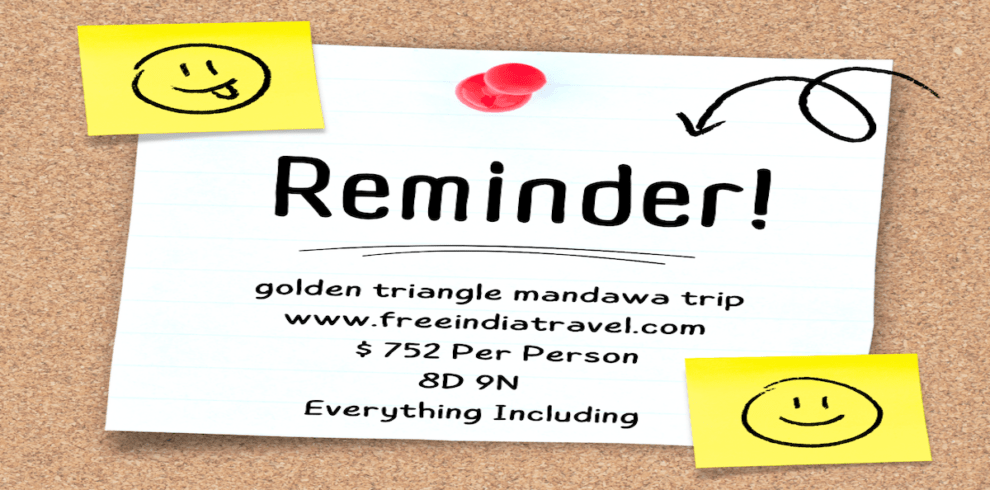 golden triangle mandawa trip